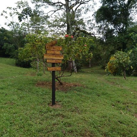 Finca Sueno De Osa Puerto Jiménez Eksteriør bilde
