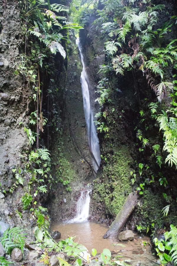 Finca Sueno De Osa Puerto Jiménez Eksteriør bilde