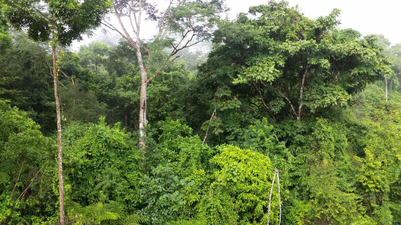 Finca Sueno De Osa Puerto Jiménez Eksteriør bilde