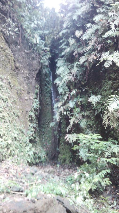 Finca Sueno De Osa Puerto Jiménez Eksteriør bilde
