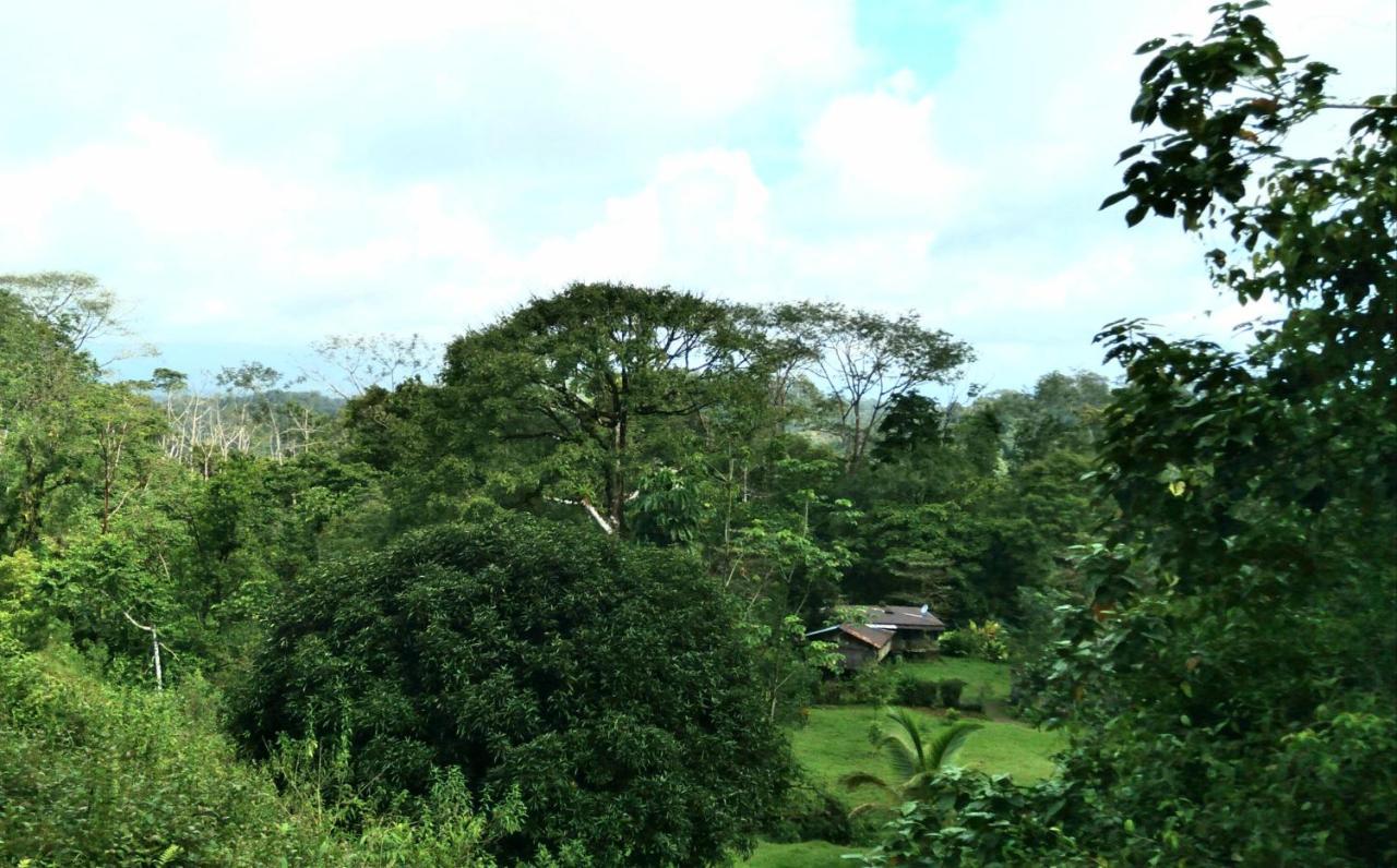 Finca Sueno De Osa Puerto Jiménez Eksteriør bilde