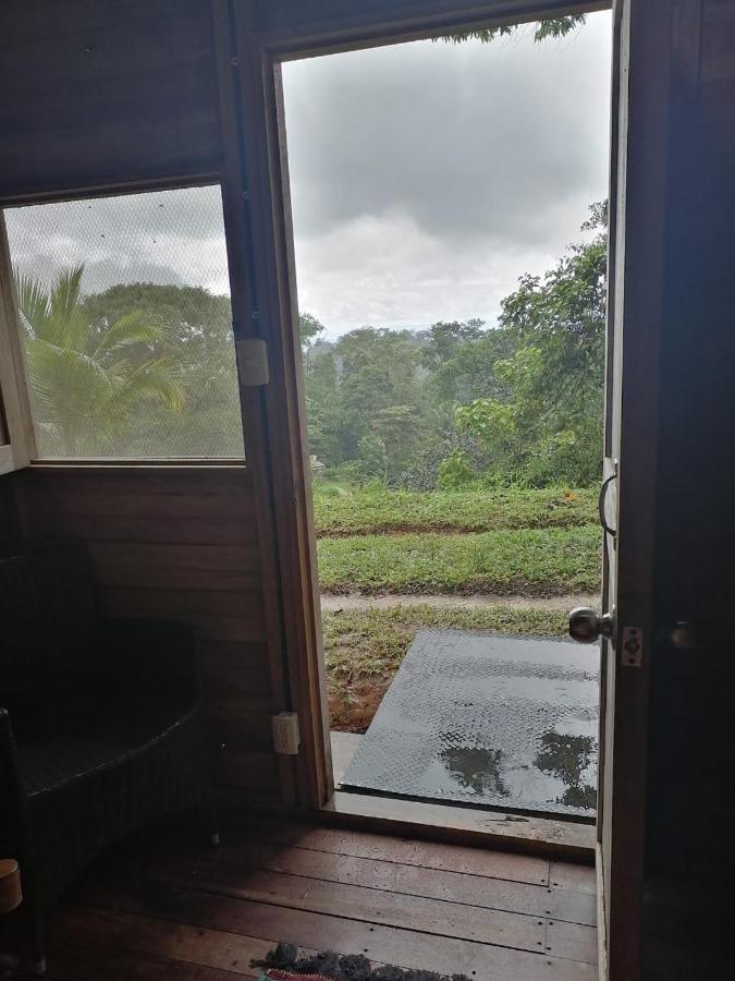 Finca Sueno De Osa Puerto Jiménez Eksteriør bilde