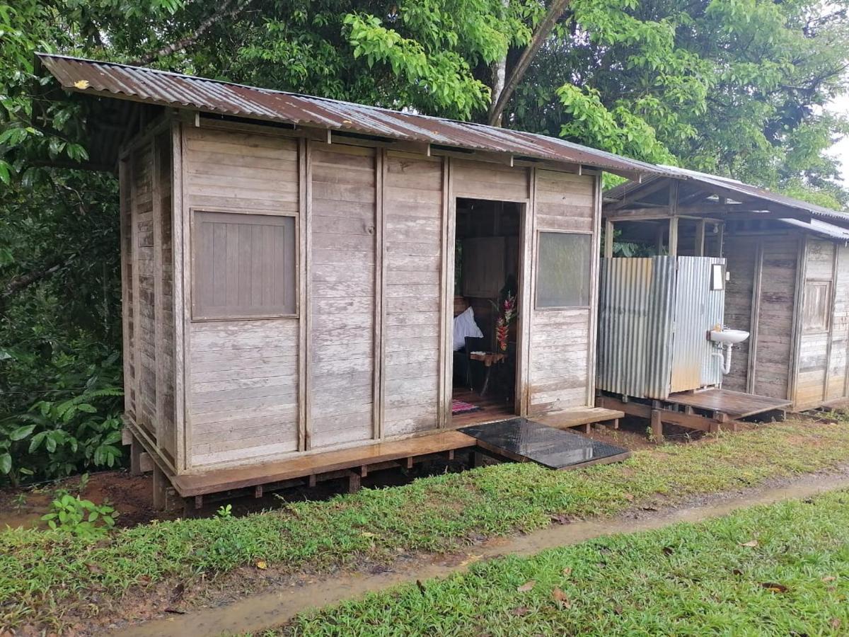 Finca Sueno De Osa Puerto Jiménez Eksteriør bilde