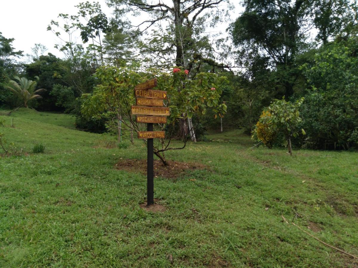 Finca Sueno De Osa Puerto Jiménez Eksteriør bilde