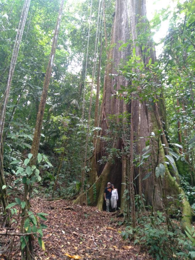 Finca Sueno De Osa Puerto Jiménez Eksteriør bilde