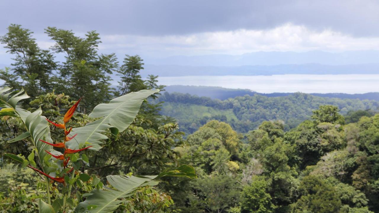 Finca Sueno De Osa Puerto Jiménez Eksteriør bilde