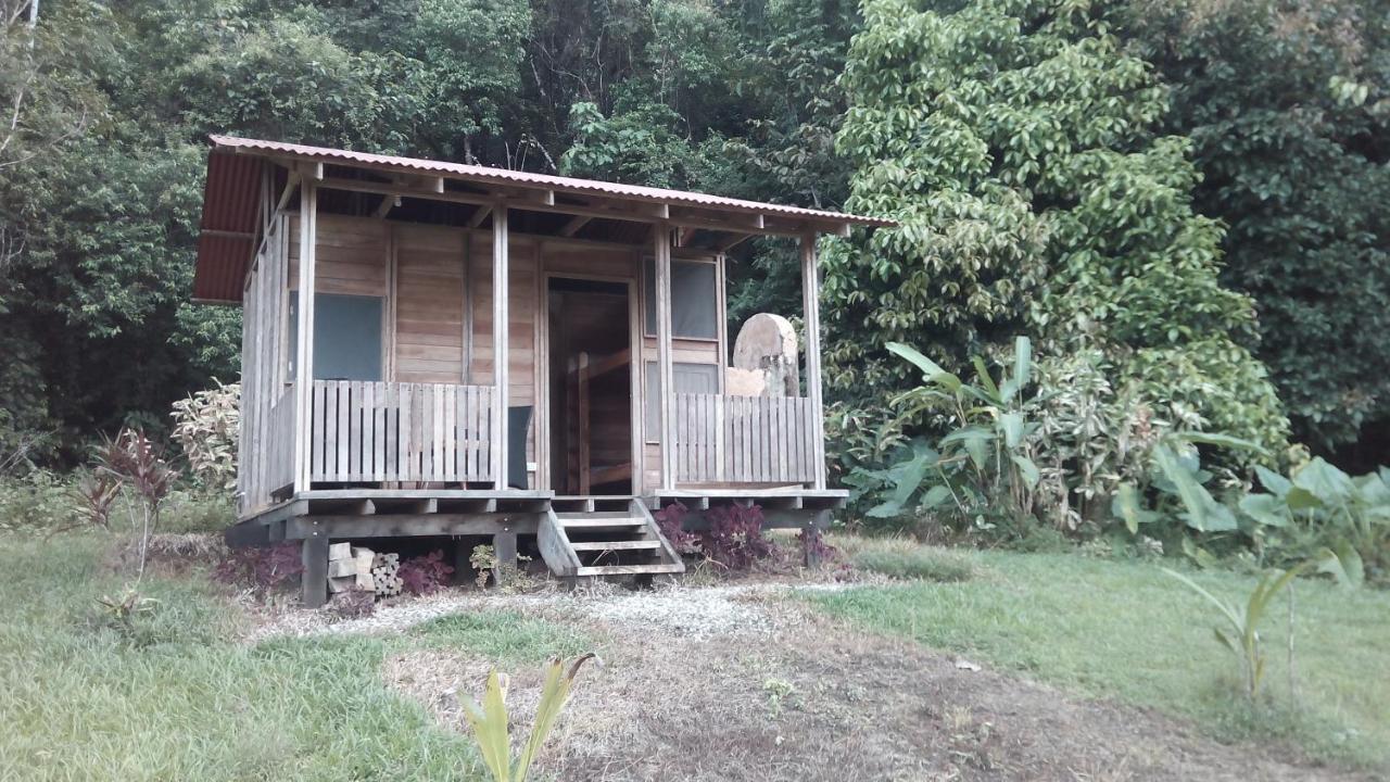 Finca Sueno De Osa Puerto Jiménez Eksteriør bilde